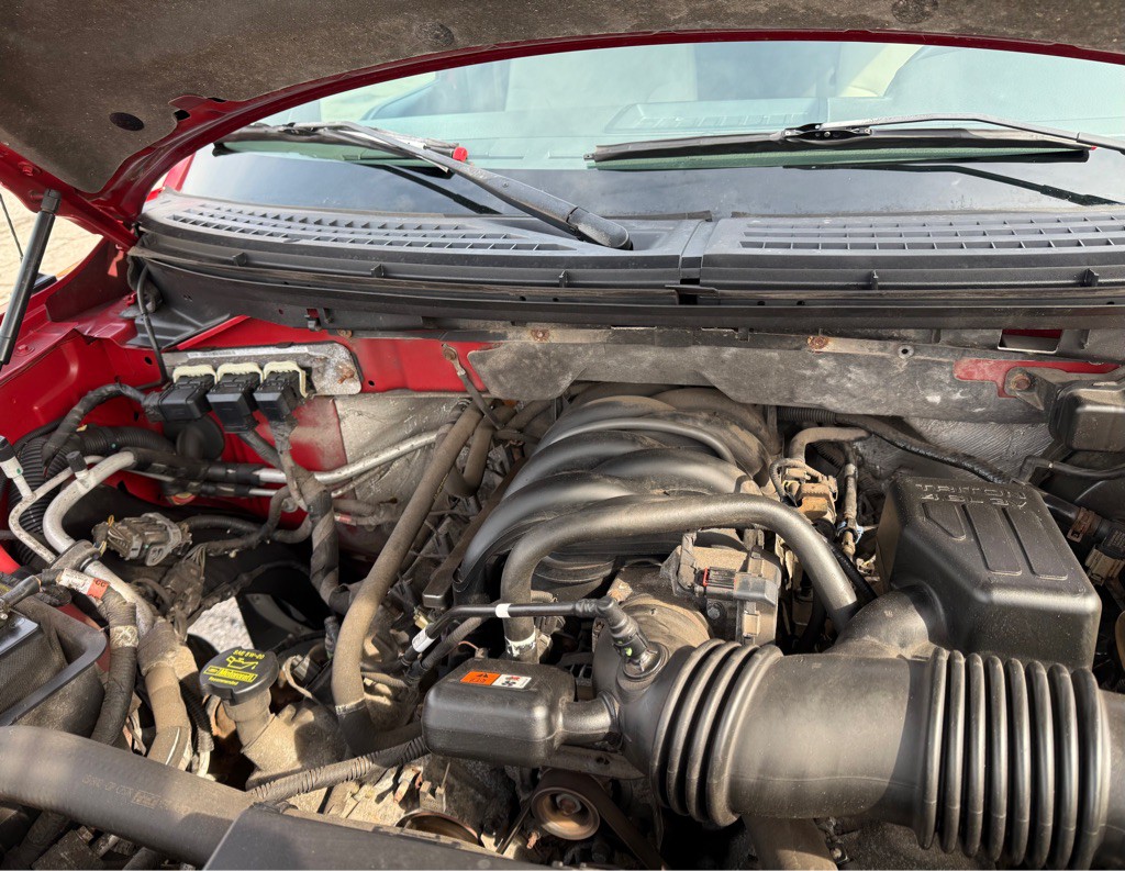 2010 Ford F-150 Image 16