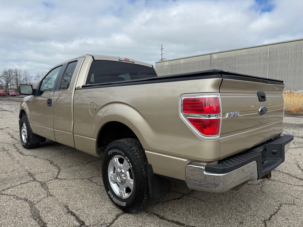 2010 Ford F-150 Image 4