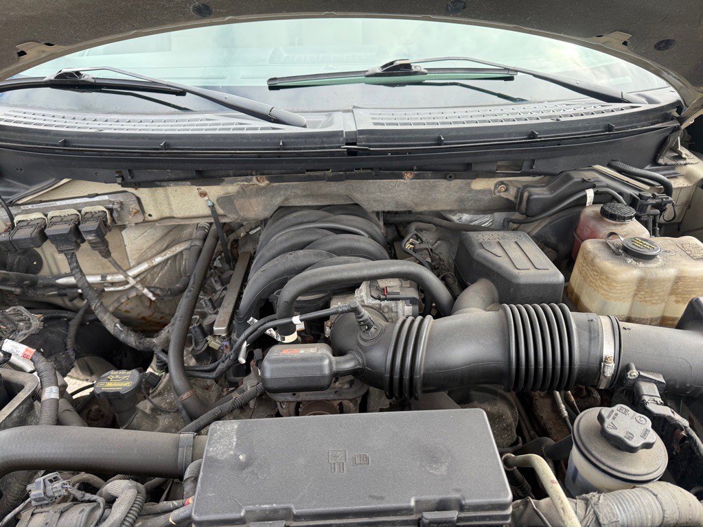 2010 Ford F-150 Image 14