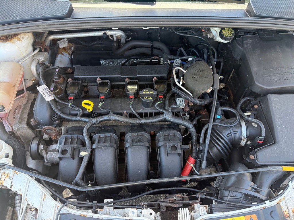 2014 Ford Focus Image 13