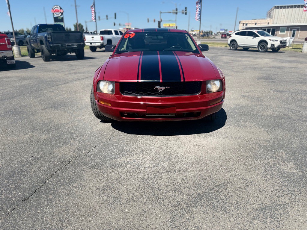 2009 Ford Mustang Image 3
