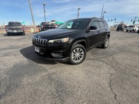 Image for 2019 Jeep Cherokee Latitude Plus ID: 7269445
