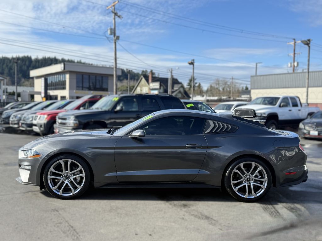 2019 Ford Mustang Image 4