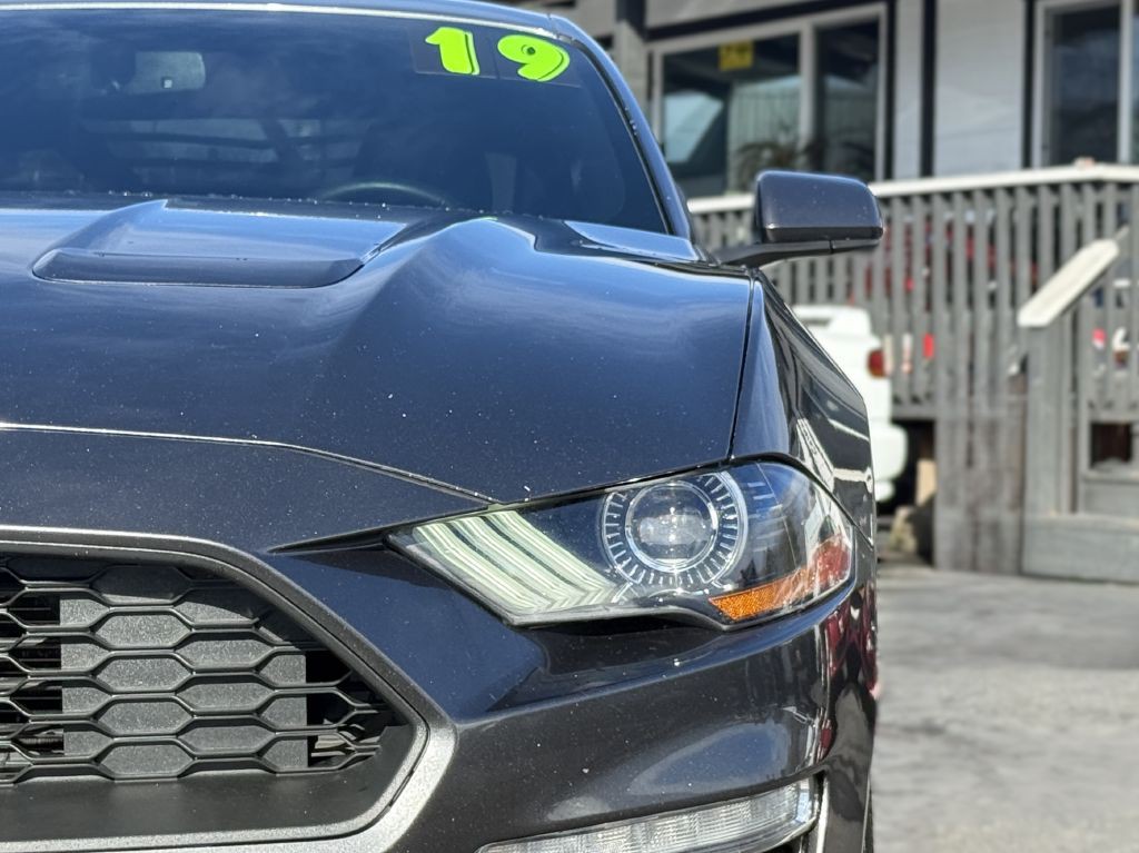 2019 Ford Mustang Image 8