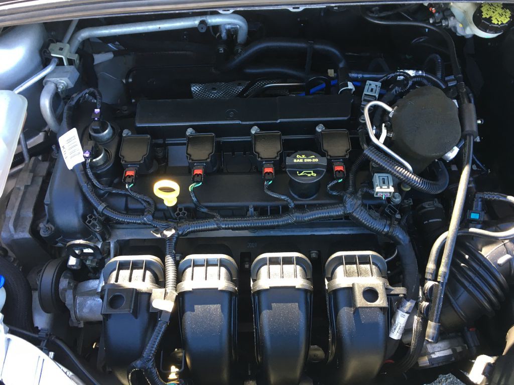 2014 Ford Focus Image 20