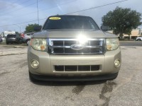 Image for 2010 Ford Escape XLT ID: 7015270