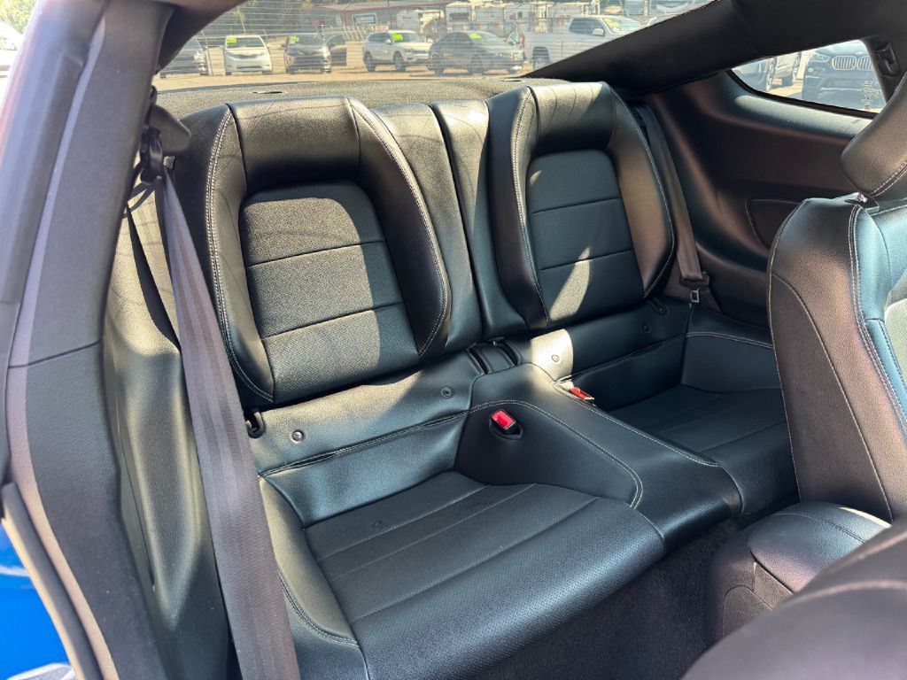 2019 Ford Mustang Image 13