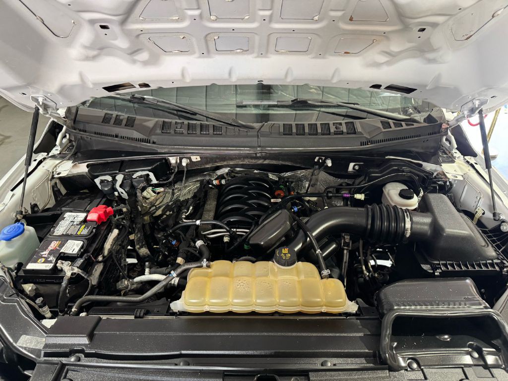 2019 Ford F-150 Image 3