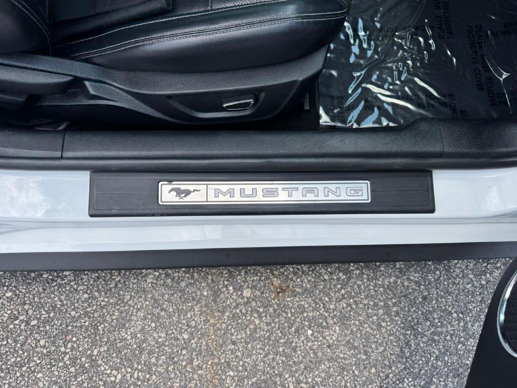 2019 Ford Mustang Image 11