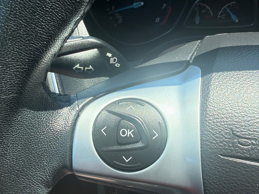 2014 Ford Focus Image 29