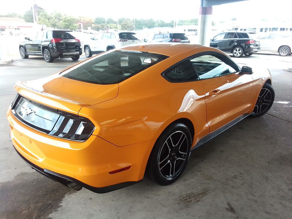 2019 Ford Mustang Image 5