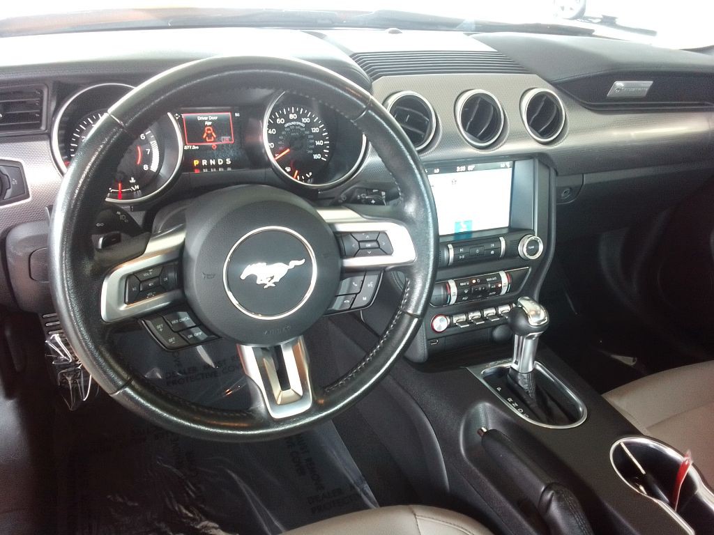 2019 Ford Mustang Image 7