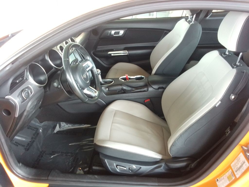 2019 Ford Mustang Image 14