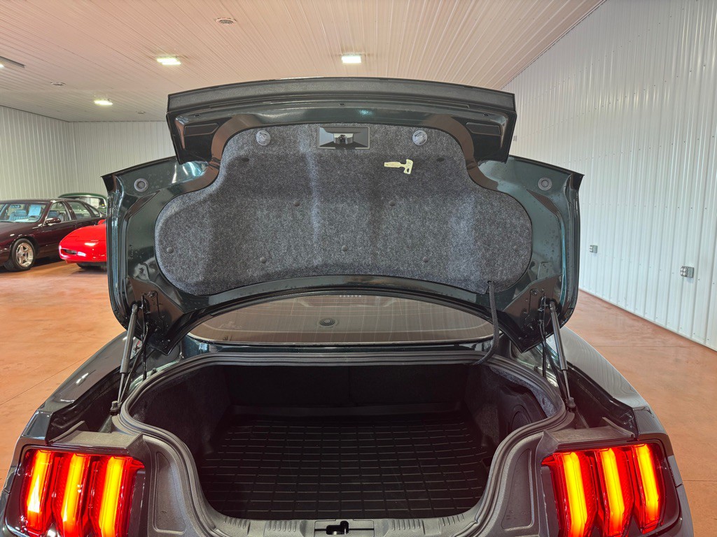 2019 Ford Mustang Image 35
