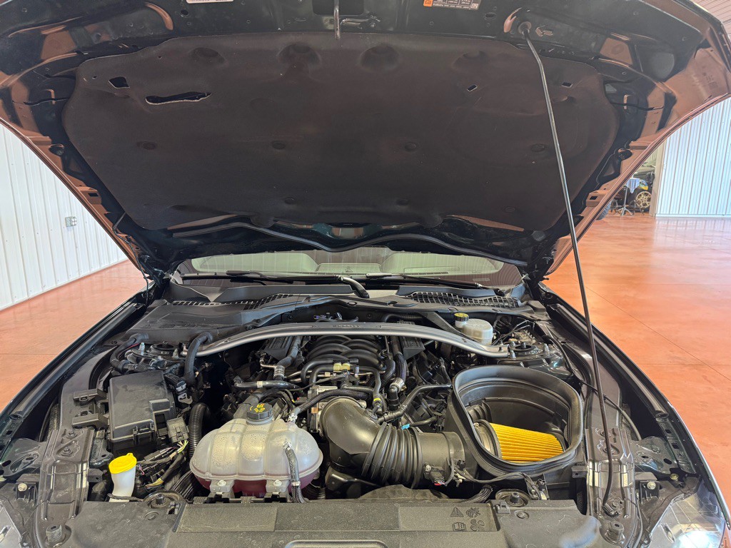 2019 Ford Mustang Image 38
