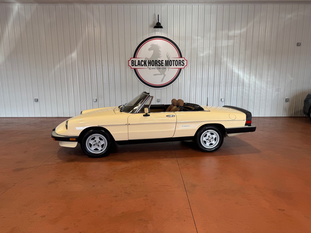 1987 Alfa Romeo Spider Image 1