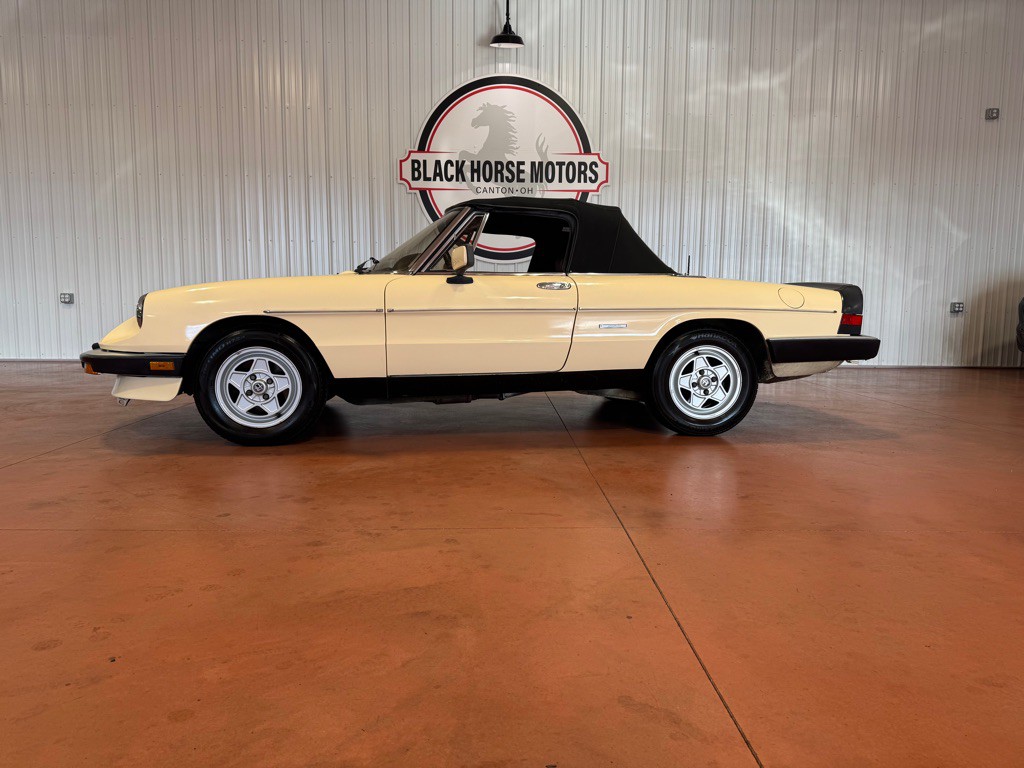 1987 Alfa Romeo Spider Image 3