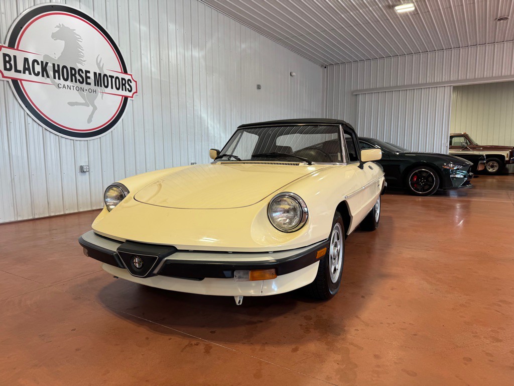 1987 Alfa Romeo Spider Image 5