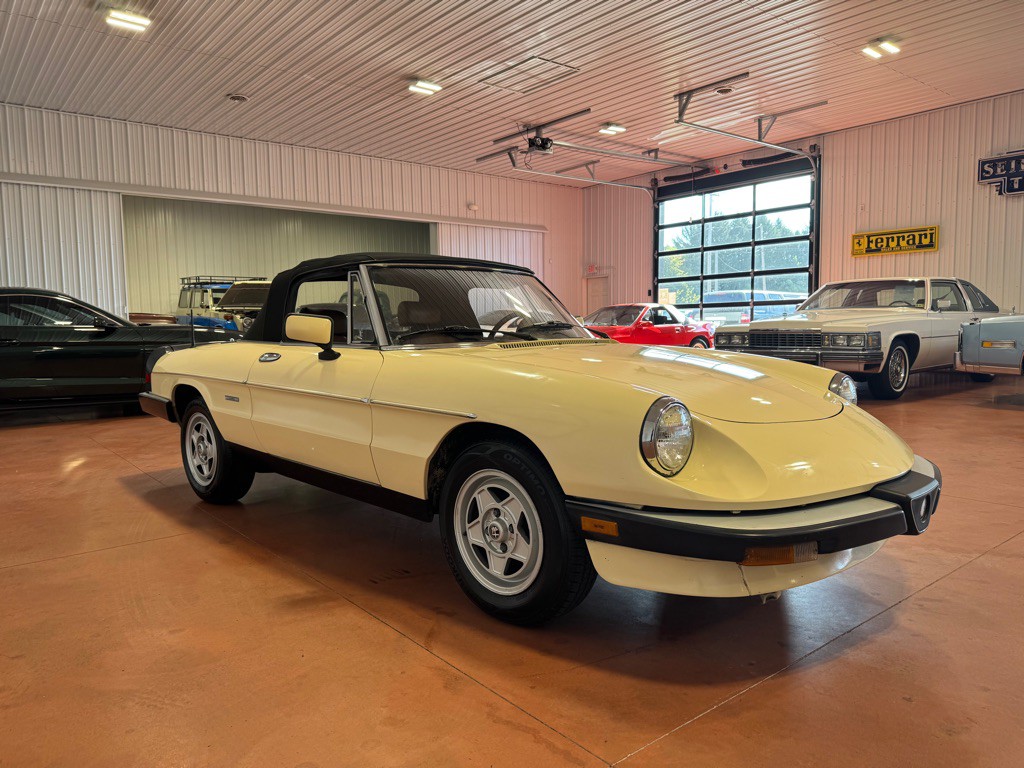 1987 Alfa Romeo Spider Image 6