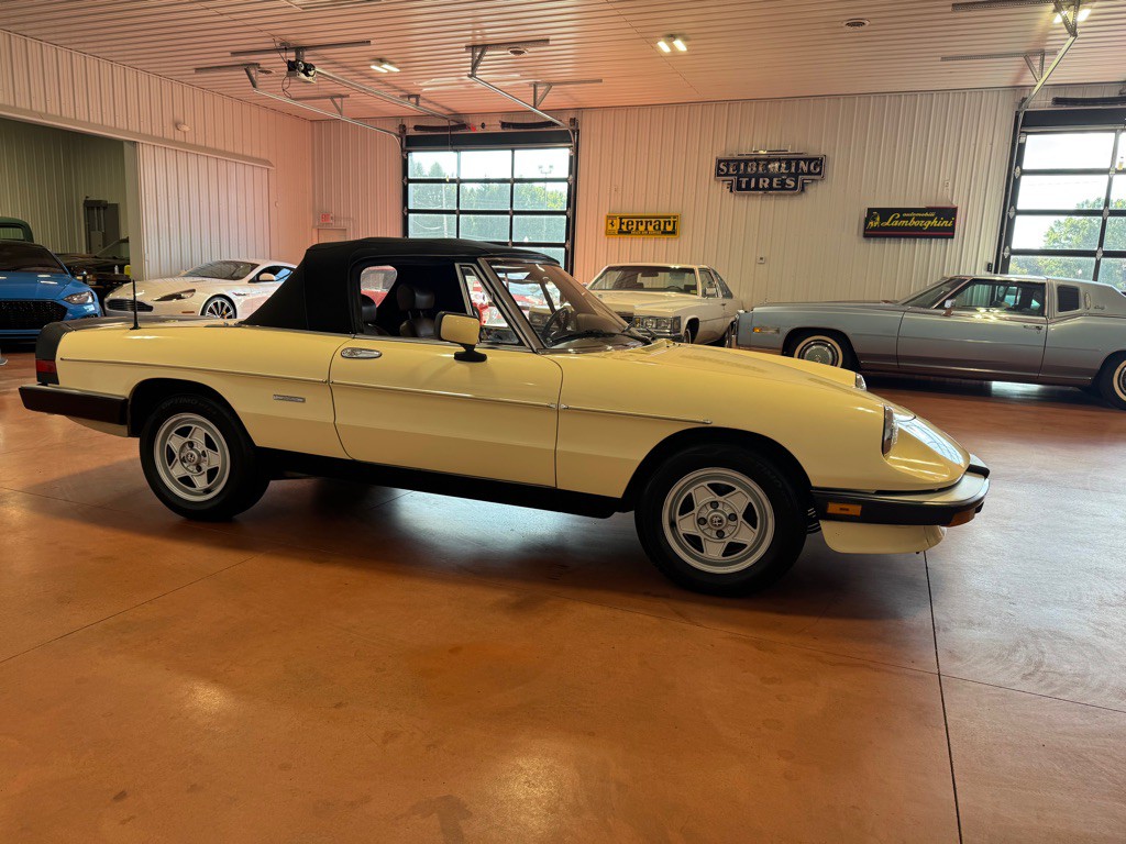 1987 Alfa Romeo Spider Image 7