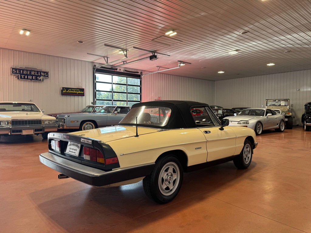 1987 Alfa Romeo Spider Image 8