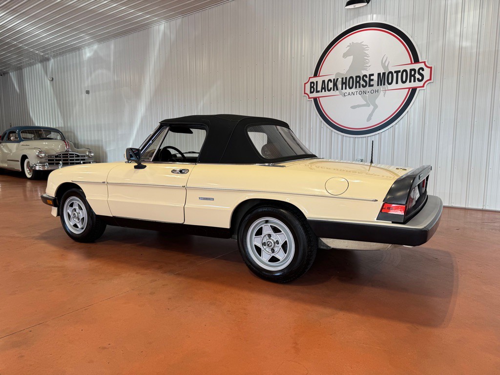 1987 Alfa Romeo Spider Image 10