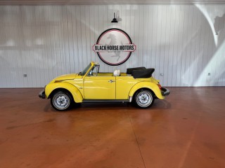 Image for 1979 Volkswagen Beetle  ID: 7007154