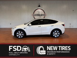 Image for 2020 Tesla Model Y  ID: 7360011