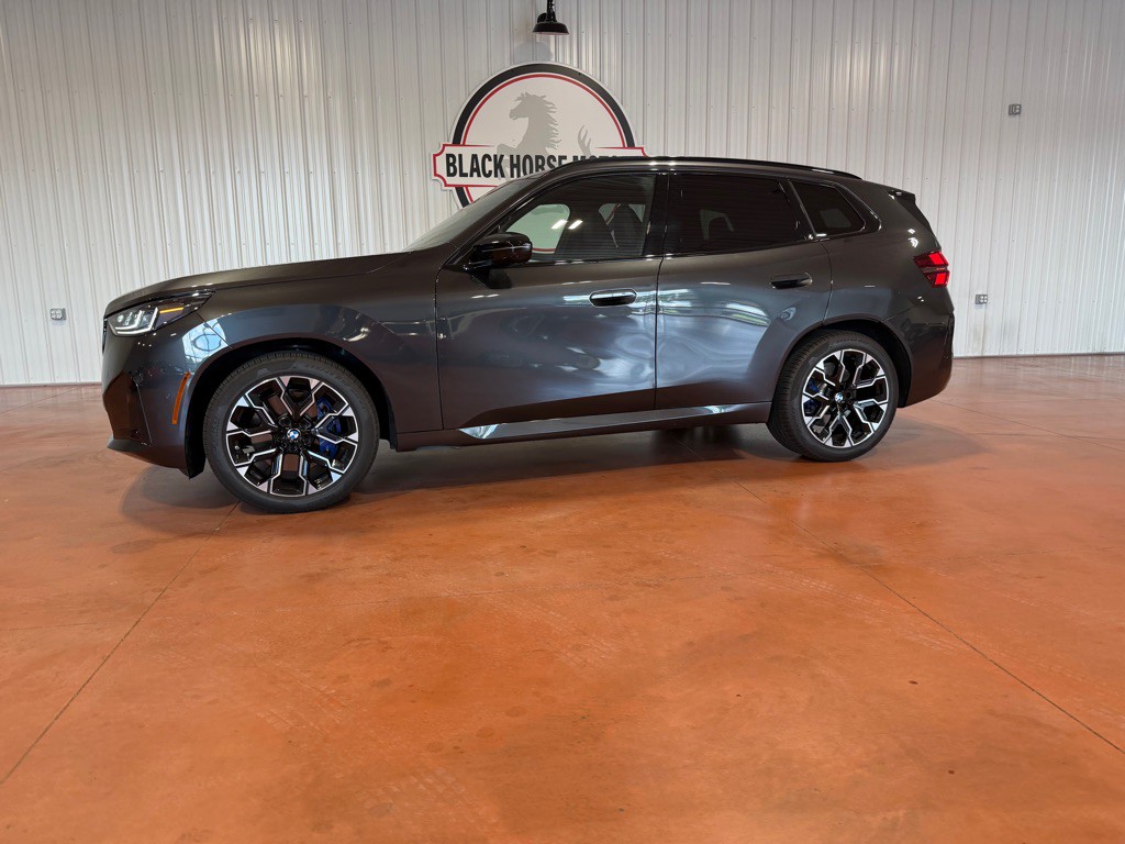2025 BMW X3 Image 4