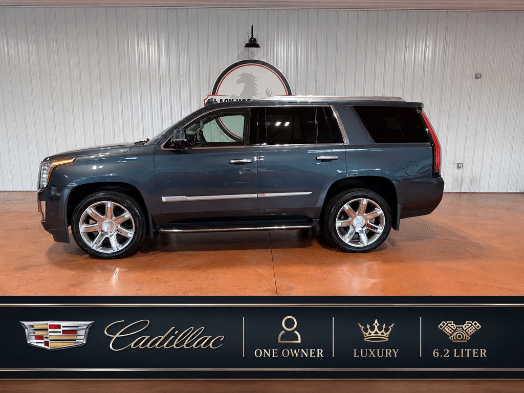 2020 Cadillac Escalade Image 1