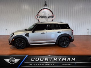 Image for 2023 MINI Cooper S COUNTRYMAN ALL4 ID: 7616860