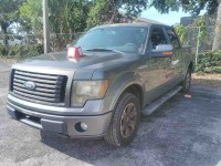 Image for 2010 Ford F-150 Supercrew ID: 6676039