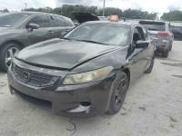 Image for 2009 Honda Accord EXL ID: 6859466