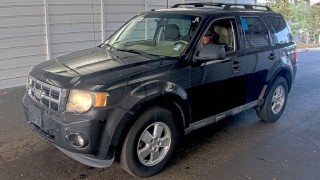 Image for 2011 Ford Escape XLT ID: 7129709