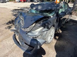 Image for 2022 Tesla Model 3  ID: 7154665