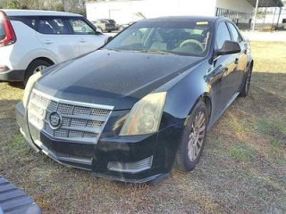 Image for 2010 Cadillac CTS  ID: 7172480