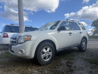 Image for 2010 Ford Escape XLT ID: 6946961