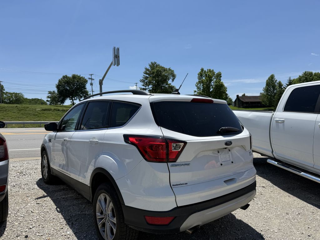 2019 Ford Escape Image 3