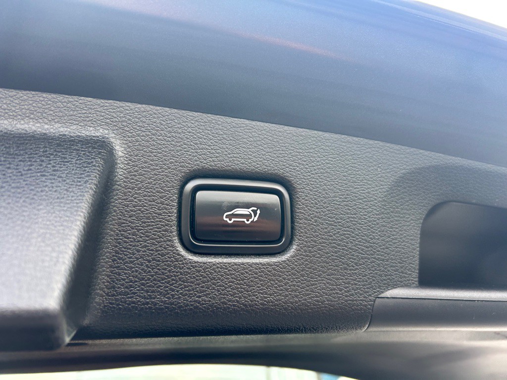 2020 Kia Telluride Image 11