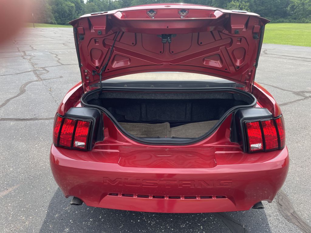 1999 Ford Mustang Image 8