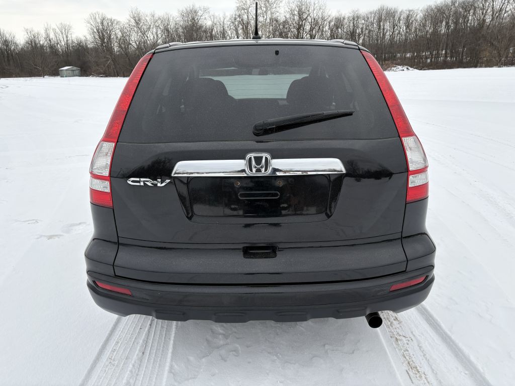 2010 Honda CR-V Image 5
