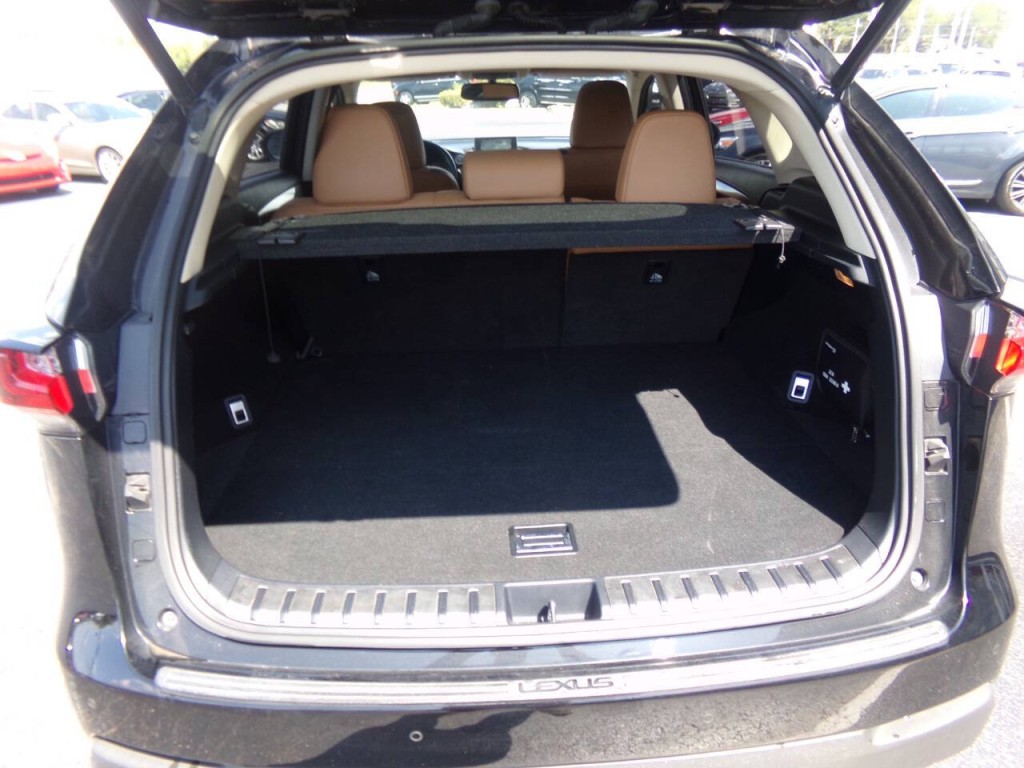 2015 Lexus NX 200t Image 21