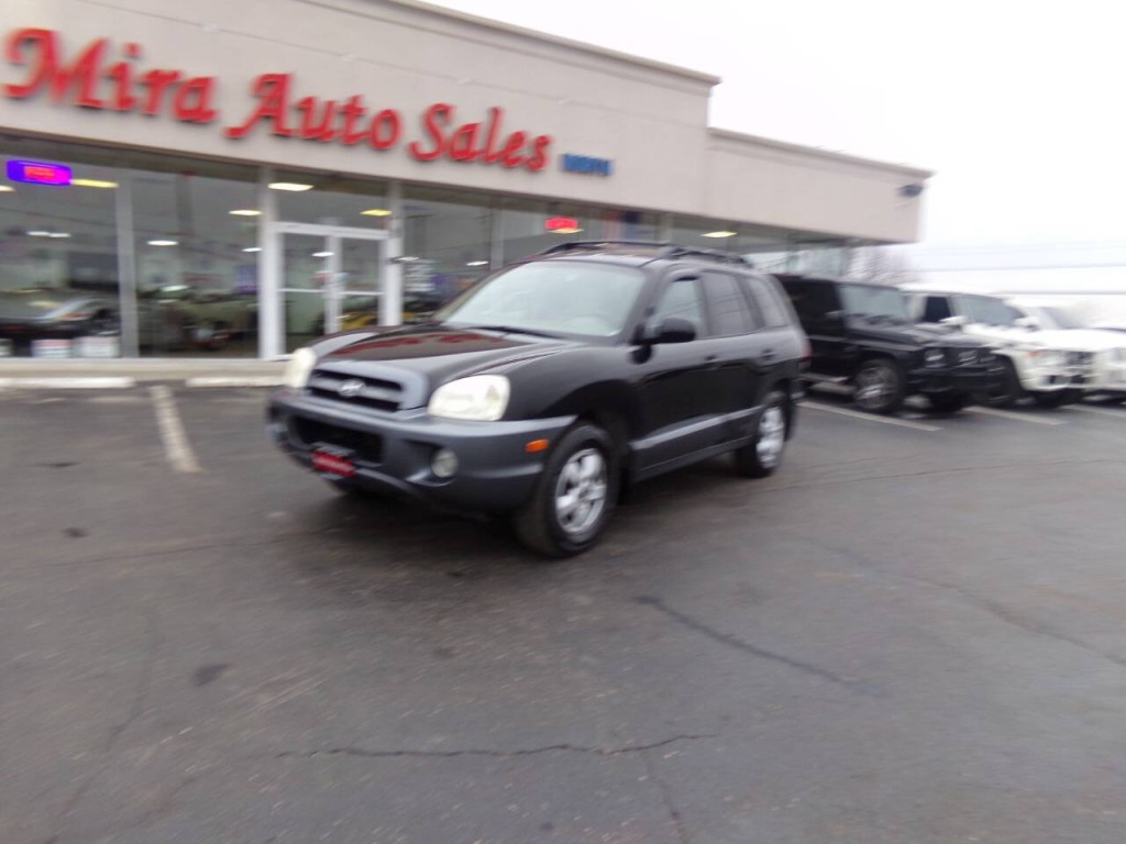 2006 Hyundai Santa Fe Image 2