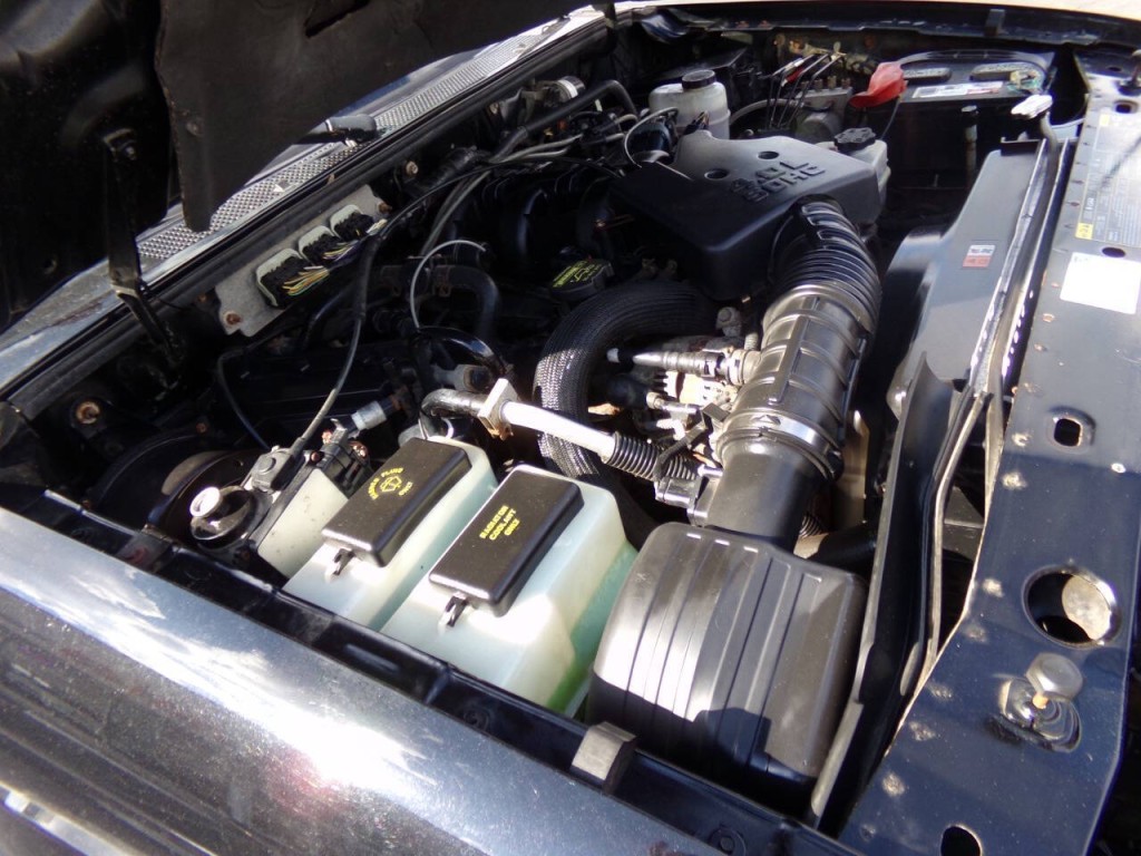 2010 Ford Ranger Image 29