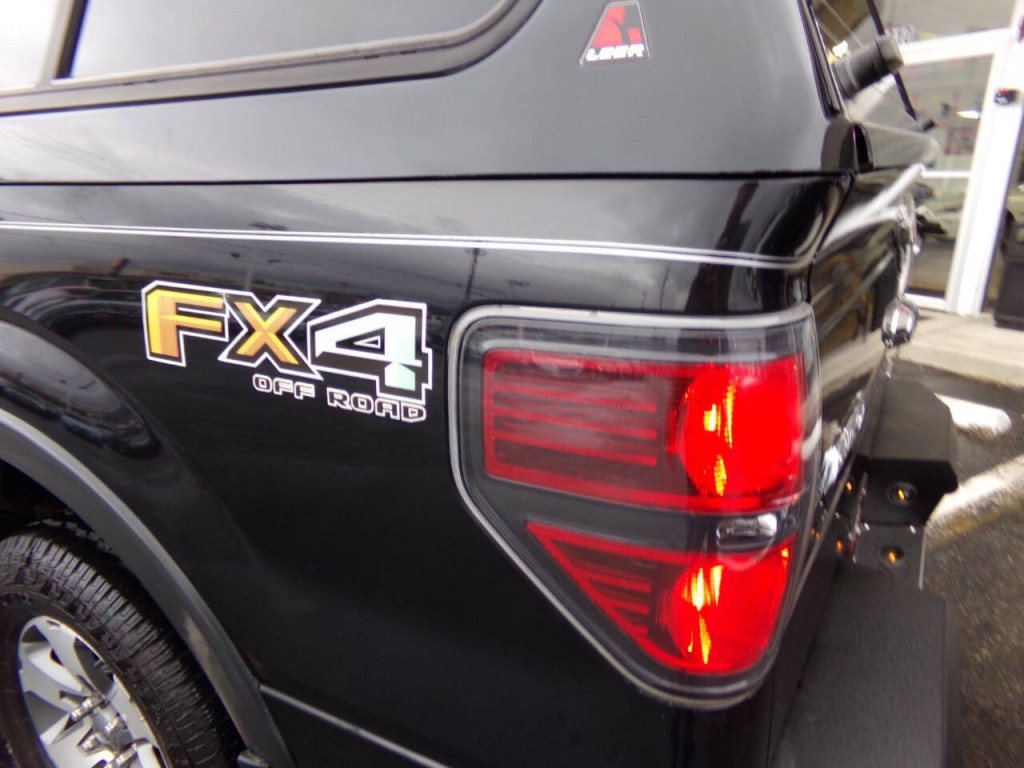 2012 Ford F-150 Image 3