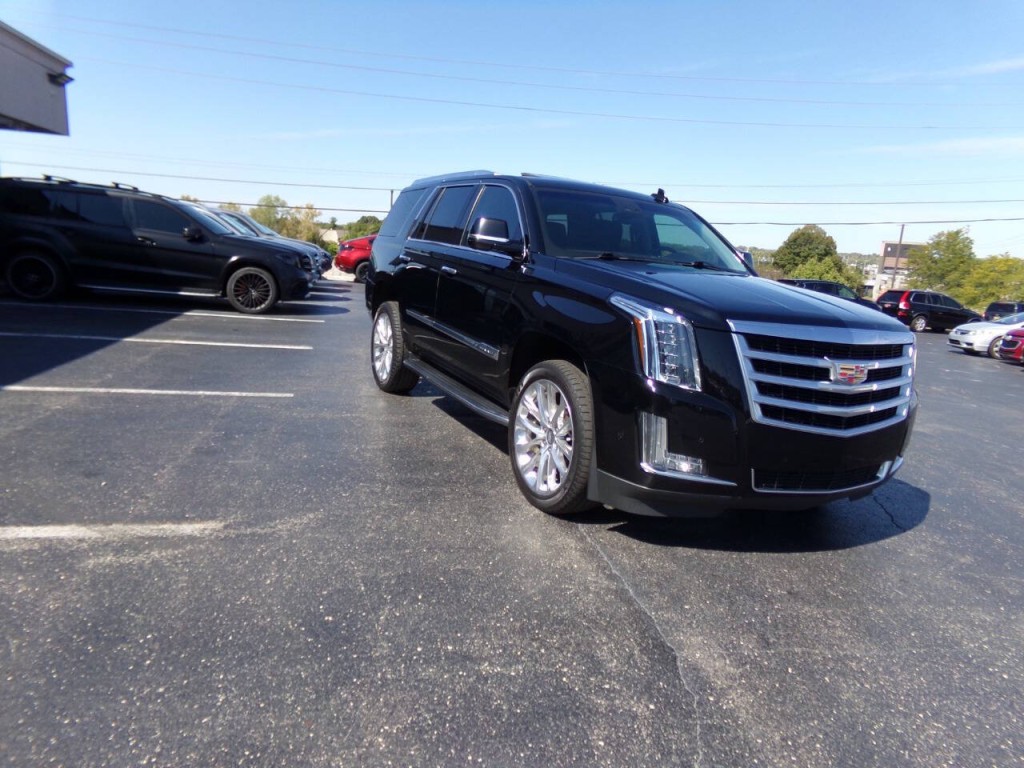 2019 Cadillac Escalade Image 5