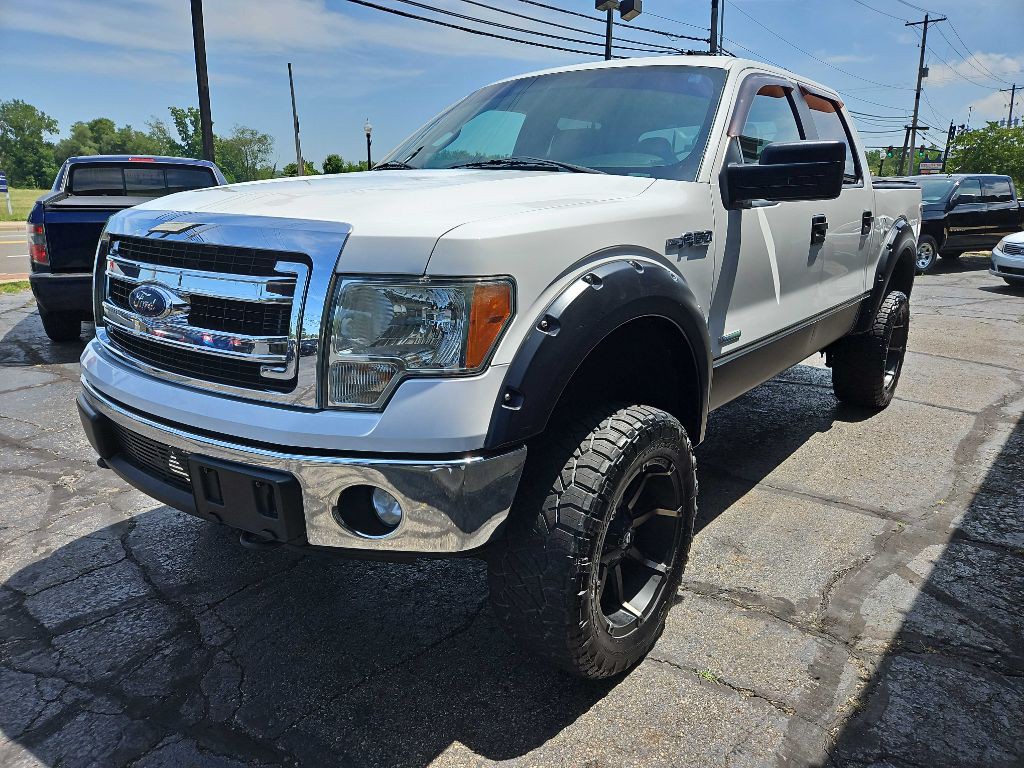 2014 Ford F-150 Image 3