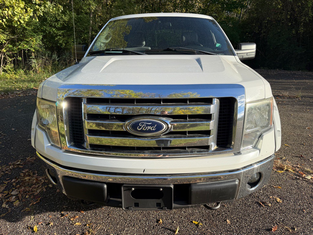 2014 Ford F-150 Image 2