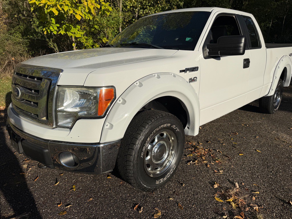 2014 Ford F-150 Image 3