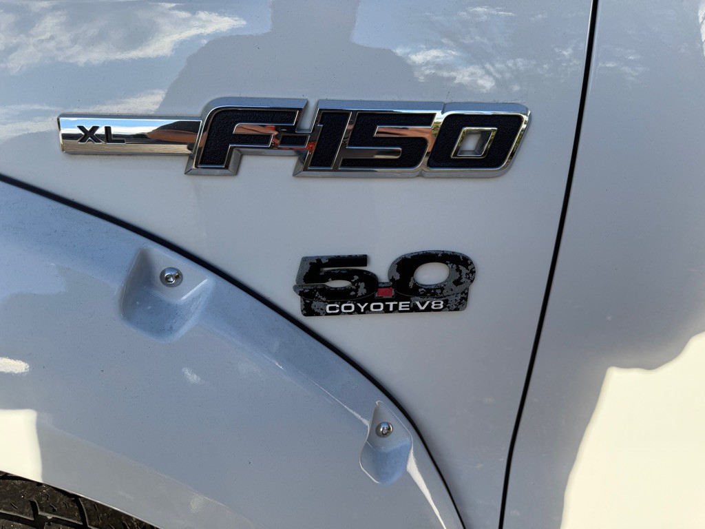 2014 Ford F-150 Image 4